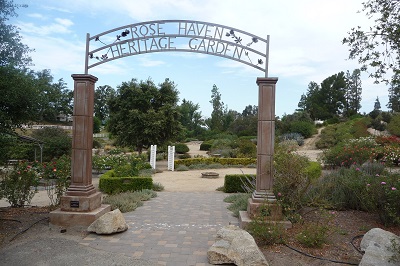 Rose Haven Heritage Garden